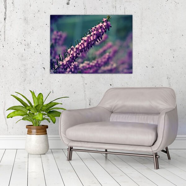 Slika ljubičastog cvijeta (70x50 cm)