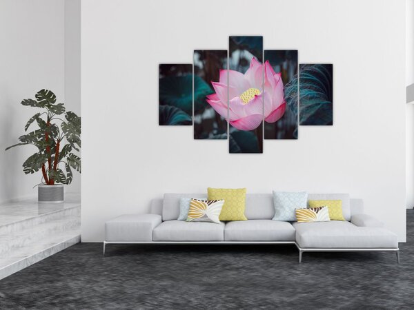 Slika ružičastog cvijeta (150x105 cm)