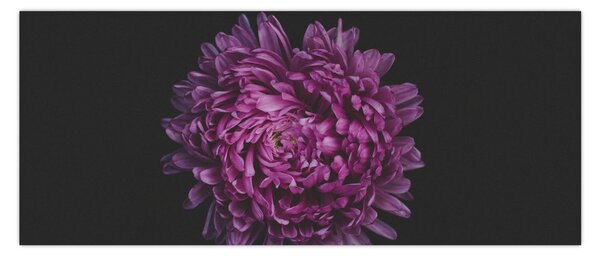 Slika ljubičastog cvijeta (120x50 cm)