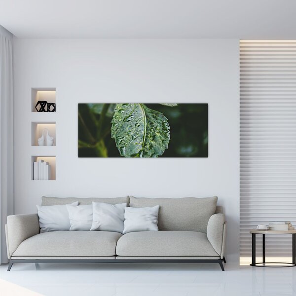 Slika - kapi na listu (120x50 cm)