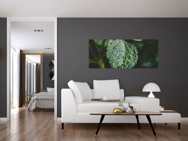 Slika - kapi na listu (120x50 cm)