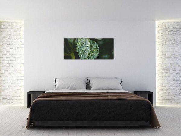 Slika - kapi na listu (120x50 cm)