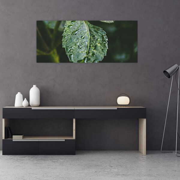 Slika - kapi na listu (120x50 cm)