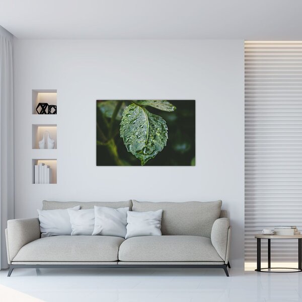 Slika - kapi na listu (90x60 cm)
