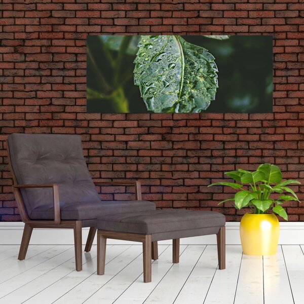 Slika - kapi na listu (120x50 cm)