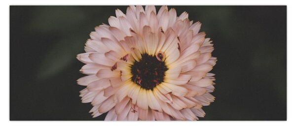 Slika narančastog cvijeta (120x50 cm)