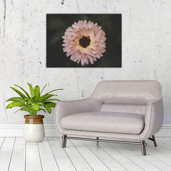 Slika narančastog cvijeta (70x50 cm)