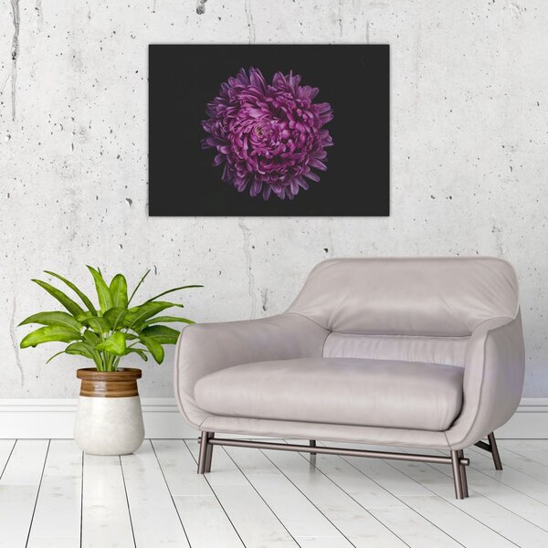 Slika ljubičastog cvijeta (70x50 cm)