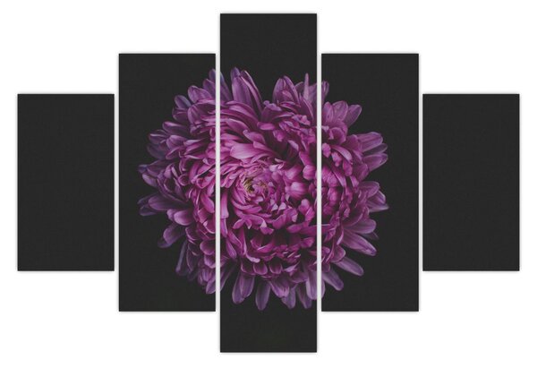 Slika ljubičastog cvijeta (150x105 cm)