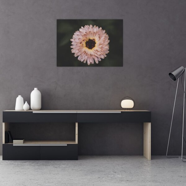 Slika narančastog cvijeta (70x50 cm)