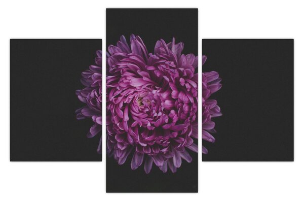Slika ljubičastog cvijeta (90x60 cm)