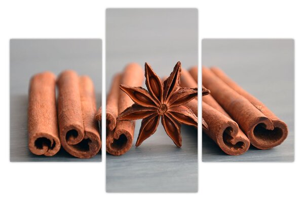 Slika cimeta (90x60 cm)