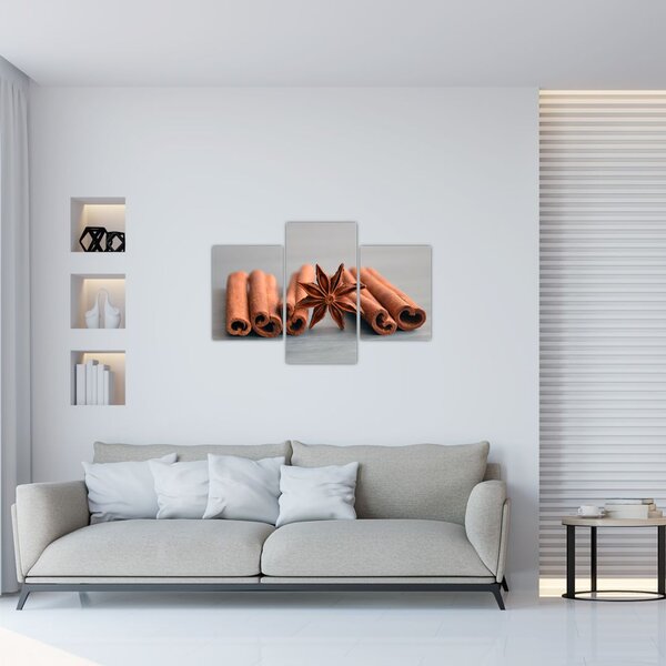 Slika cimeta (90x60 cm)