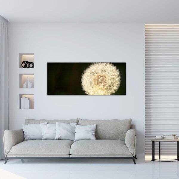 Slika sivog maslačka (120x50 cm)