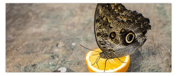 Slika leptira (120x50 cm)