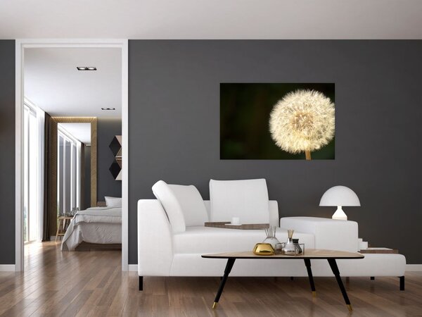 Slika sivog maslačka (90x60 cm)