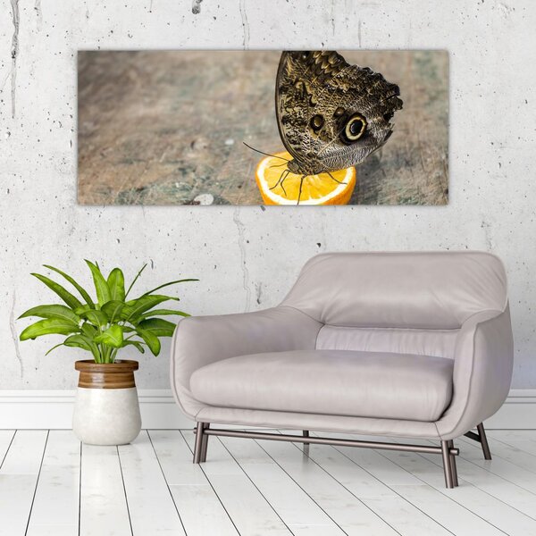 Slika leptira (120x50 cm)