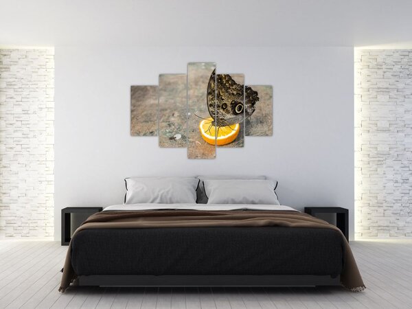 Slika leptira (150x105 cm)