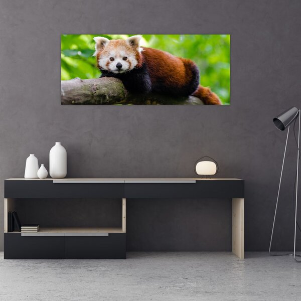 Slika crvene pande (120x50 cm)