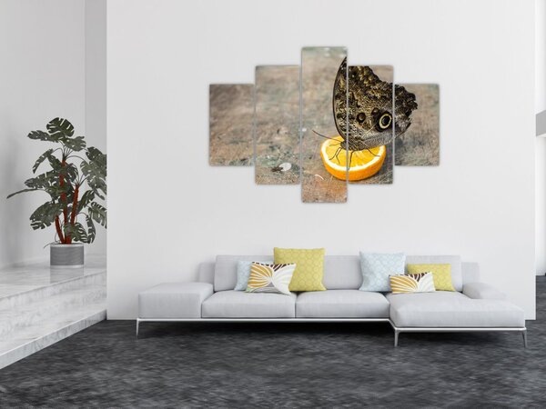 Slika leptira (150x105 cm)