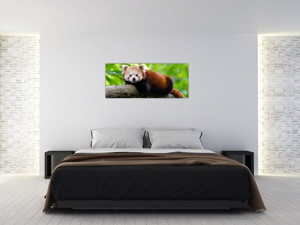 Slika crvene pande (120x50 cm)