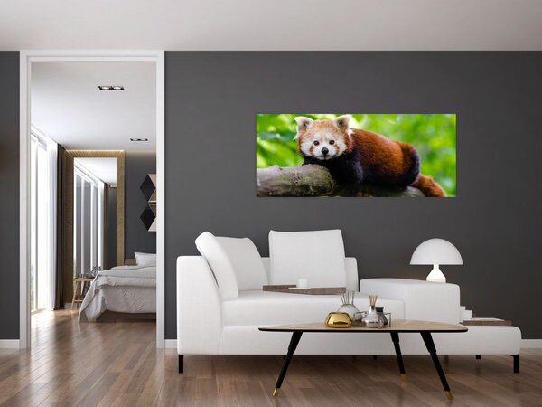 Slika crvene pande (120x50 cm)