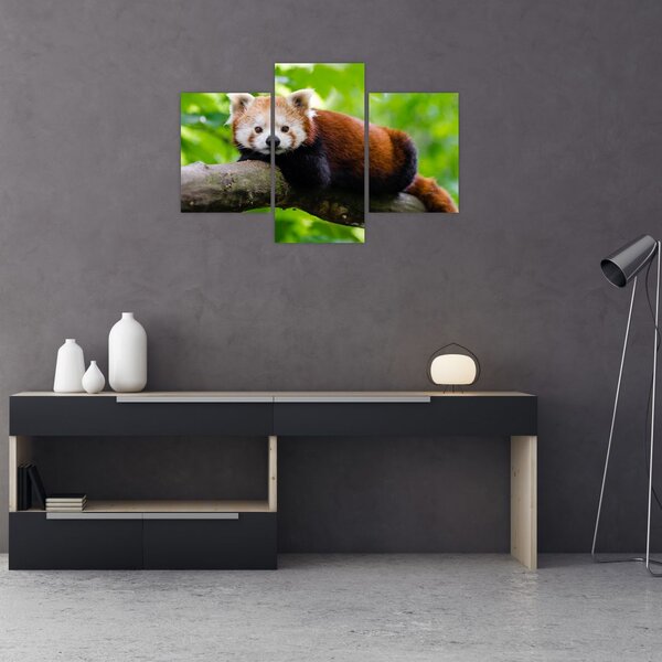 Slika crvene pande (90x60 cm)