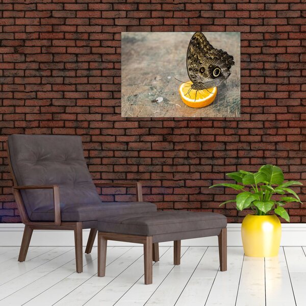 Slika leptira (70x50 cm)