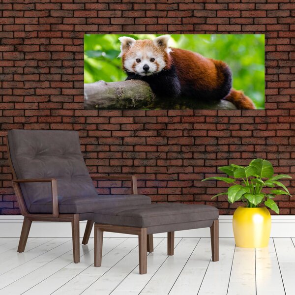 Slika crvene pande (120x50 cm)