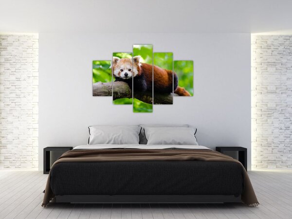 Slika crvene pande (150x105 cm)