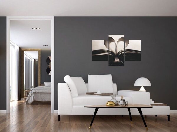 Slika knjige (90x60 cm)
