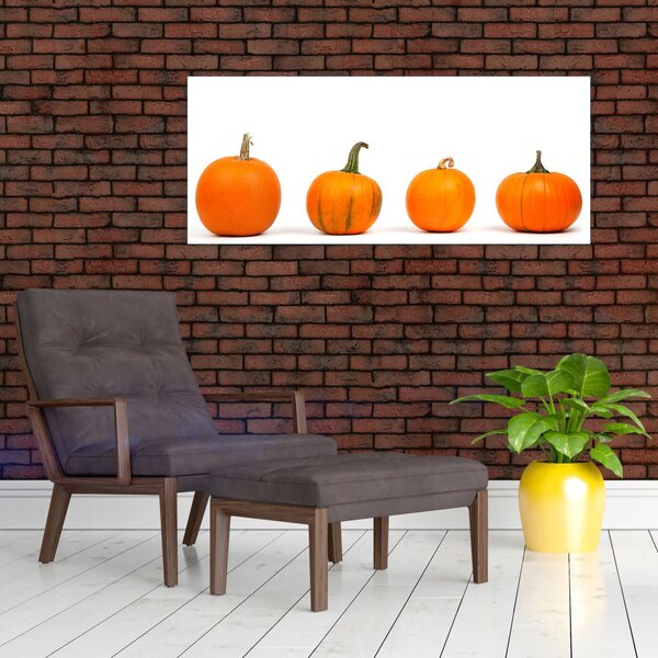 Slika tikve (120x50 cm)