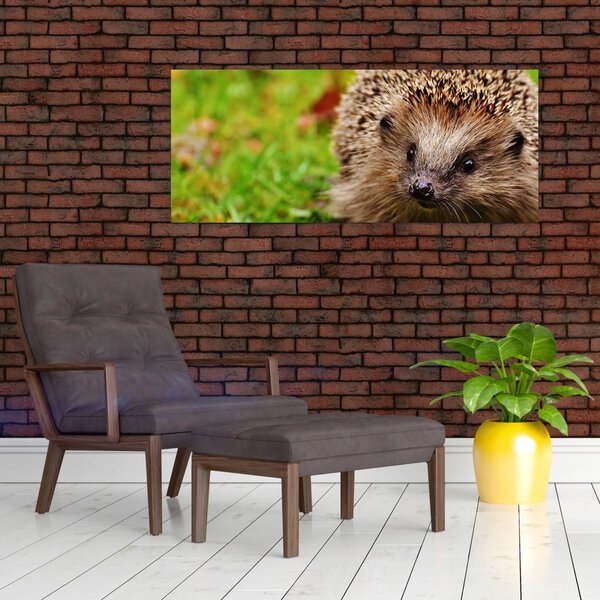 Slika ježa (120x50 cm)