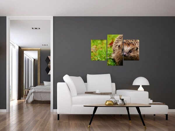 Slika ježa (90x60 cm)