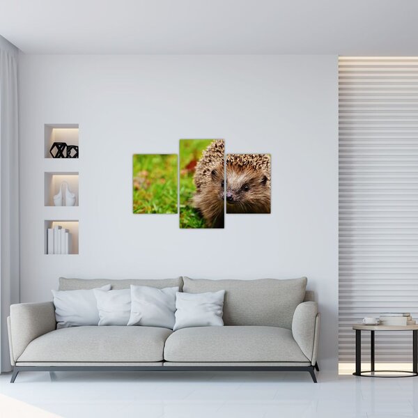 Slika ježa (90x60 cm)