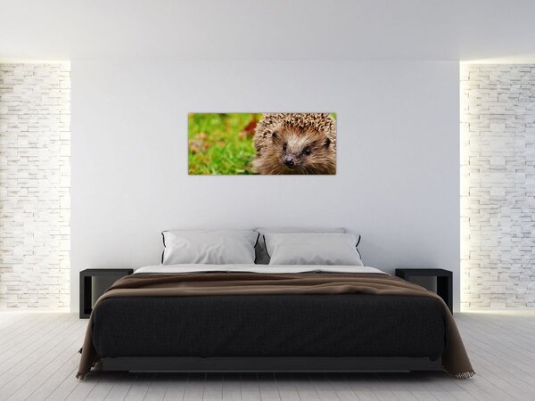 Slika ježa (120x50 cm)
