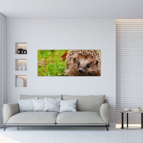 Slika ježa (120x50 cm)