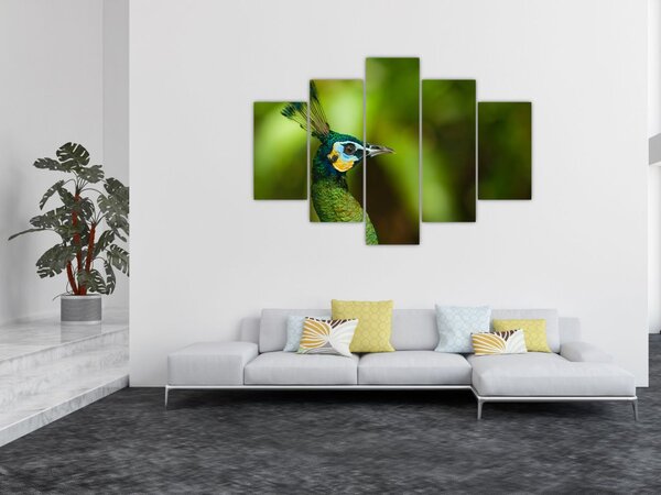 Slika pauna (150x105 cm)