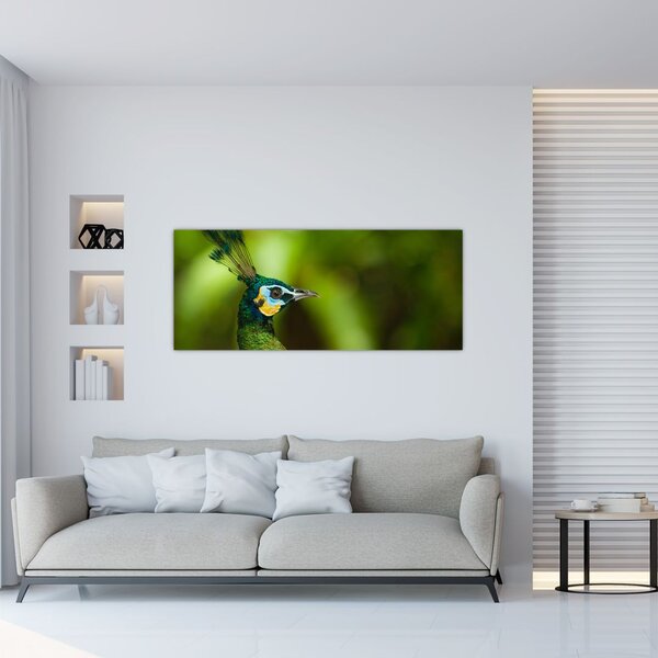 Slika pauna (120x50 cm)
