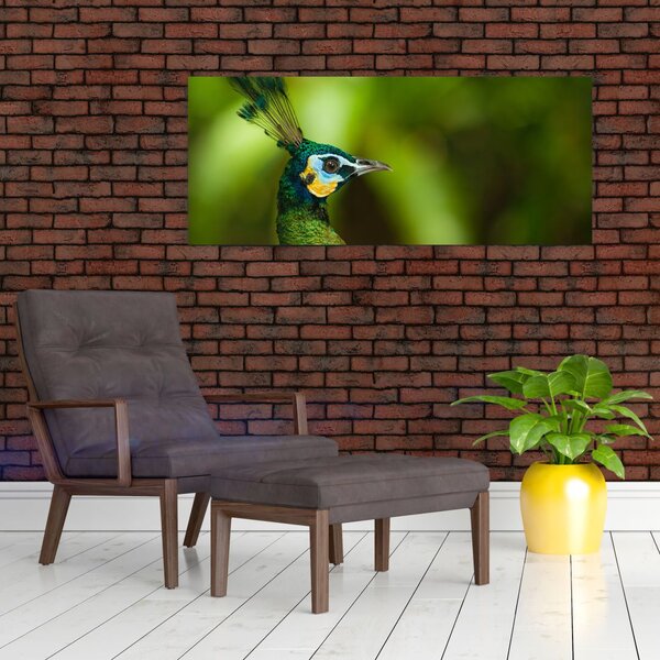 Slika pauna (120x50 cm)