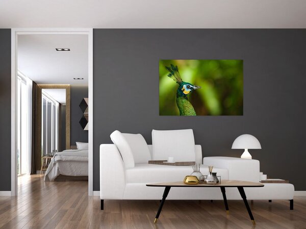 Slika pauna (90x60 cm)
