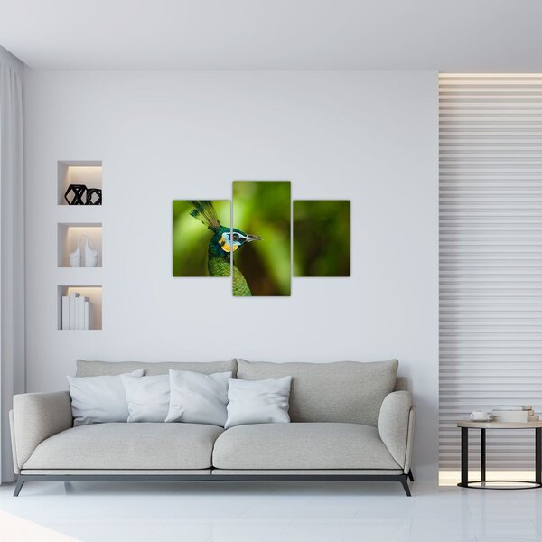 Slika pauna (90x60 cm)