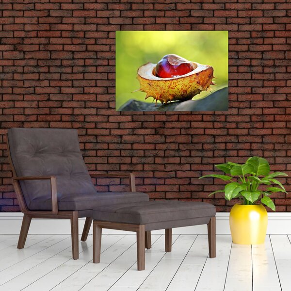 Slika kestena (70x50 cm)