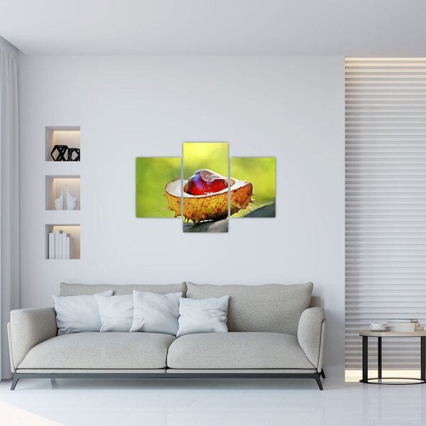 Slika kestena (90x60 cm)