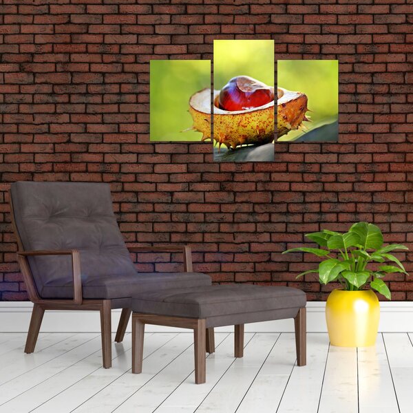 Slika kestena (90x60 cm)