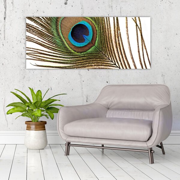 Slika paunovog perja (120x50 cm)