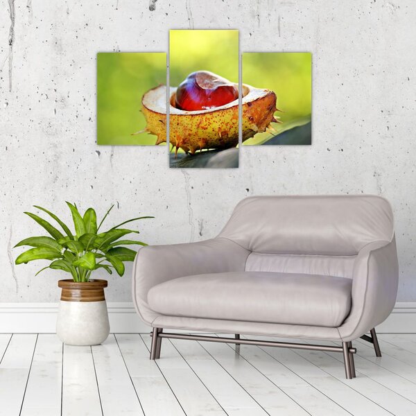 Slika kestena (90x60 cm)