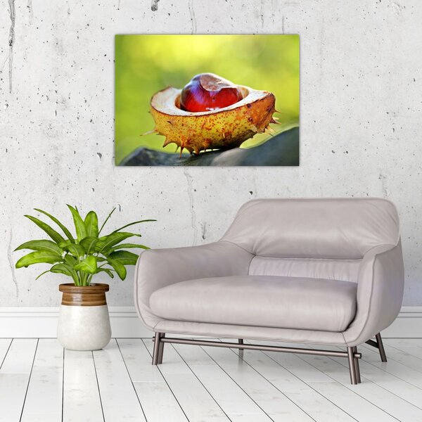 Slika kestena (70x50 cm)