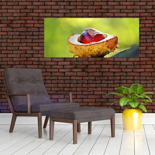 Slika kestena (120x50 cm)