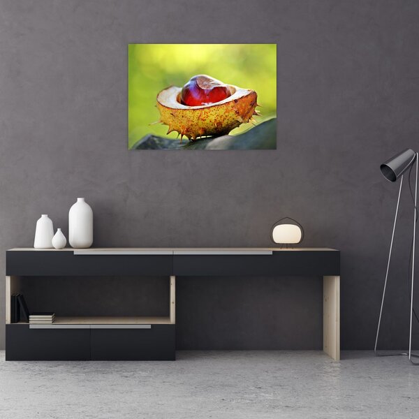 Slika kestena (70x50 cm)